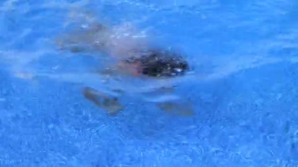 Fille natation et sourire — Video