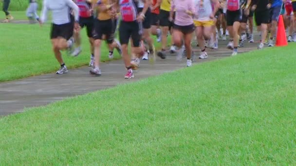 Corredores Começando Corrida — Vídeo de Stock