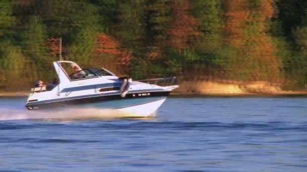 Motorbåt på sjön — Stockvideo