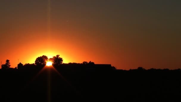 Zeitraffer bei Sonnenuntergang im Maisfeld — Stockvideo