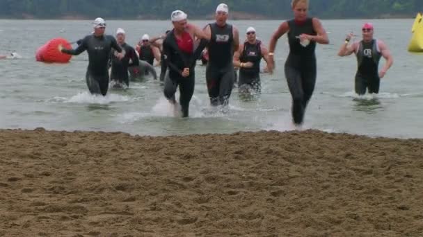 Swimmers Finish Race — Stock Video