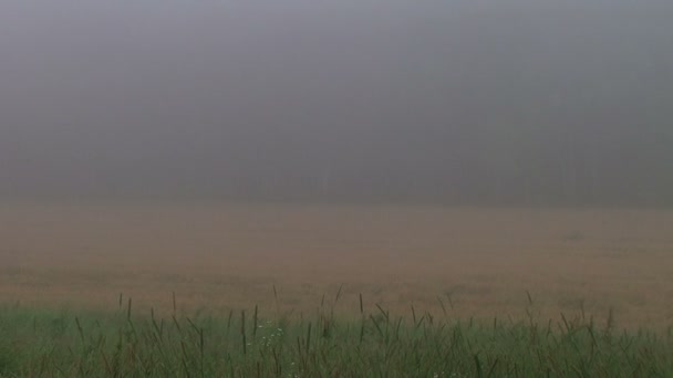 雾时间间隔 — 图库视频影像