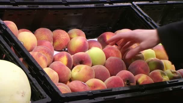 Woman Selecting Peaches In Produce — Stock Video