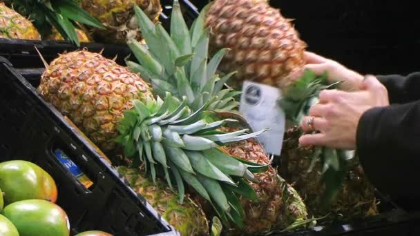 Woman Selects Pineapple — Stock Video