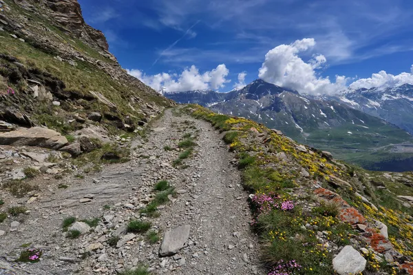 Bergwanderweg — Stockfoto