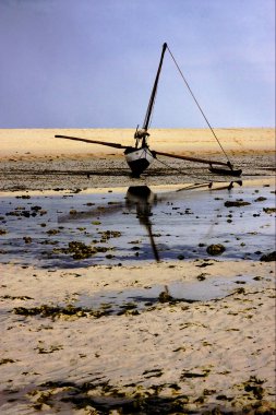 Madagaskar Çift Kişilik