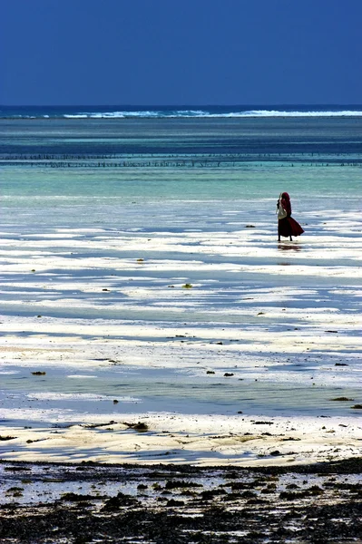 Masai w Zanzibarze — Zdjęcie stockowe