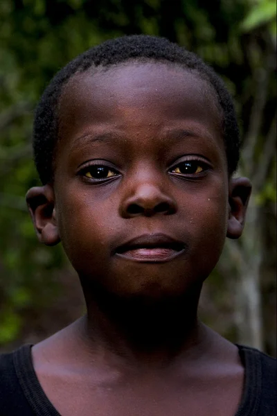 ザンジバルの子 — ストック写真
