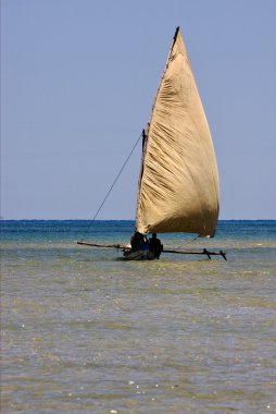 rüzgarda meraklı olmak