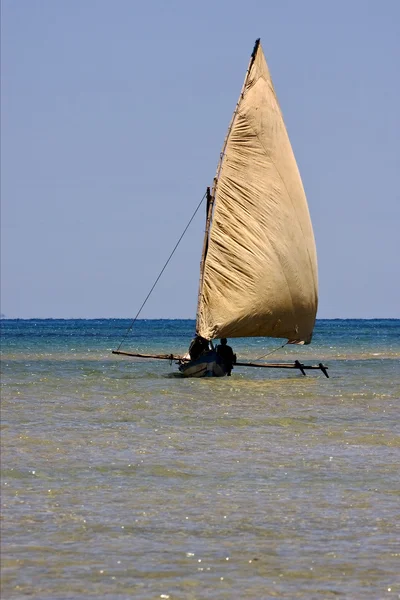 Viento en entrometido ser — Foto de Stock