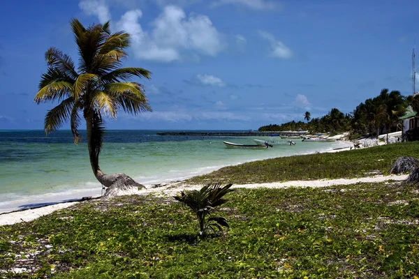 Cabin boats and palm in the sian kaan blue lagoon — Stock Photo, Image