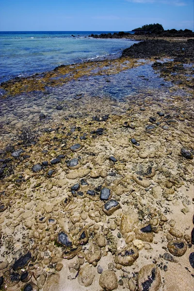 石のビーチ — ストック写真