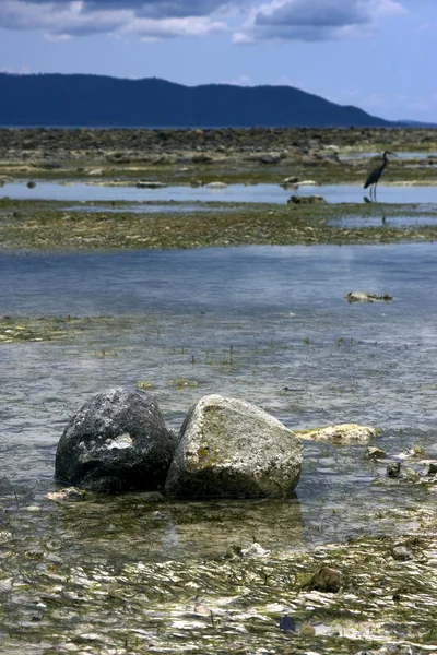 Rocas en iranja entrometida — Foto de Stock