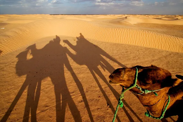 Alba nel sahara — Foto Stock