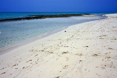 Tanzanya, zanzibar banka, plaj ve kum kum