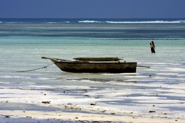 plaj deniz yosunu masai ve Tanzanya, zanzibar tekne