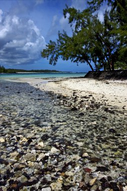 Ile du cerfs