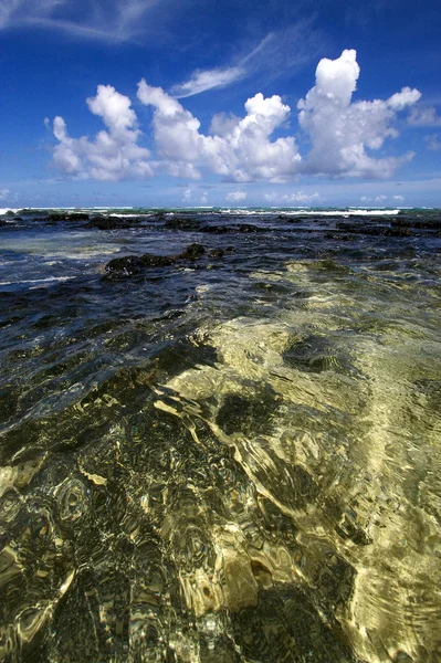 Piedra en ile du cerfs mauritius —  Fotos de Stock