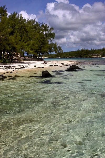 Пляжные скалы и камни в кокосе — стоковое фото