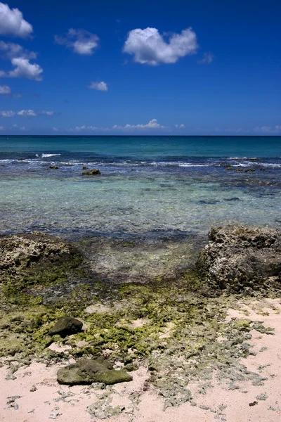 Strand rots- en stenen dominica — Stockfoto