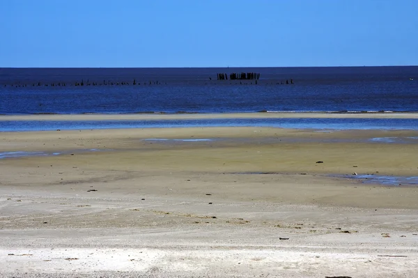 Stranden och trä i vatten — Stockfoto