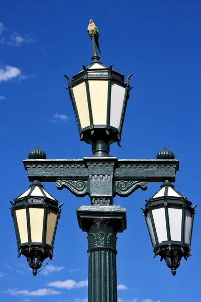 Oude groene straat lamp en papegaai — Stockfoto