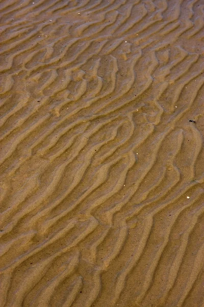 Texture du rivage et ligne courbe dans la colonia del sacramento — Photo