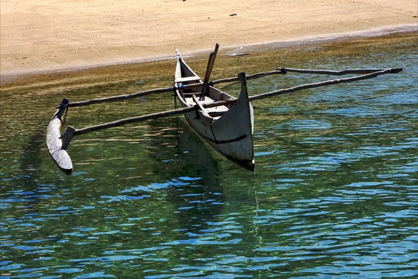 Laguna di sabbia ficcanaso essere — Foto Stock