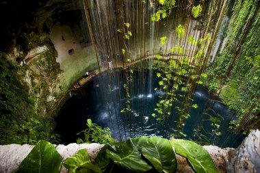 cenote ill kill