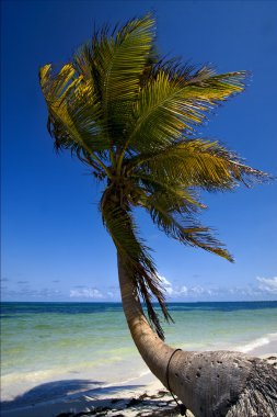 caraibbien mavi lagün sian kaan Sahili