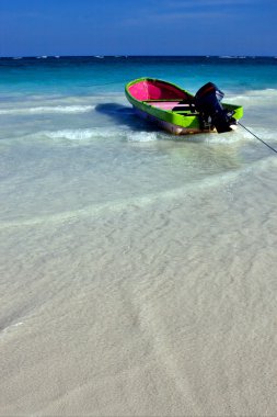 Deniz otu içinde Meksika playa del carmen