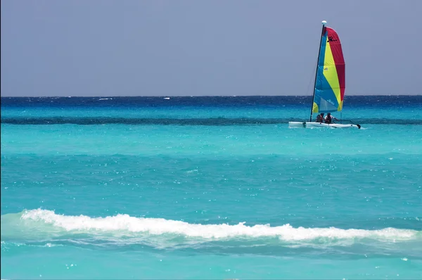 katamaran tekne ve Sahili Meksika playa del carmen