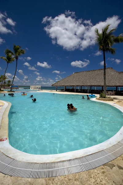 Pool Baum Palmen Frieden Marmor — Stockfoto