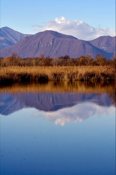 Moor Kuzey İtalya'nın bataklık — Stok fotoğraf