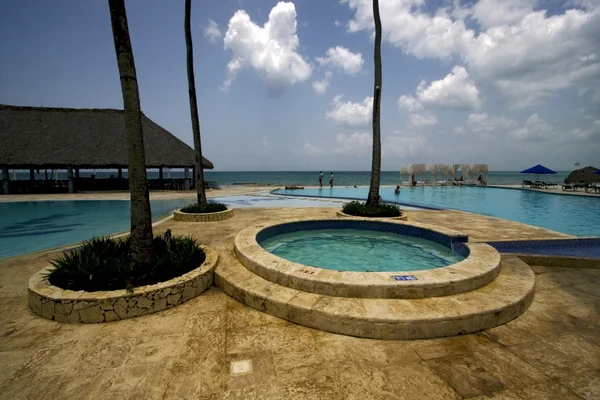 Dominicana pool träd palm fred — Stockfoto