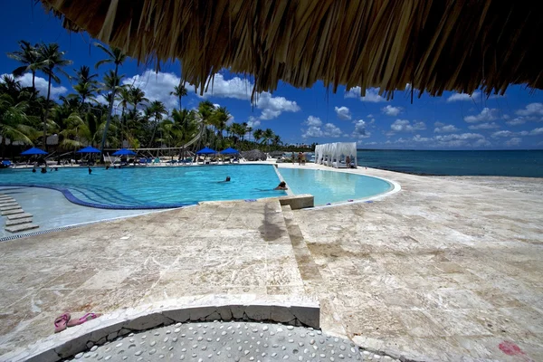 República Dominicana piscina árbol palma paz mármol —  Fotos de Stock