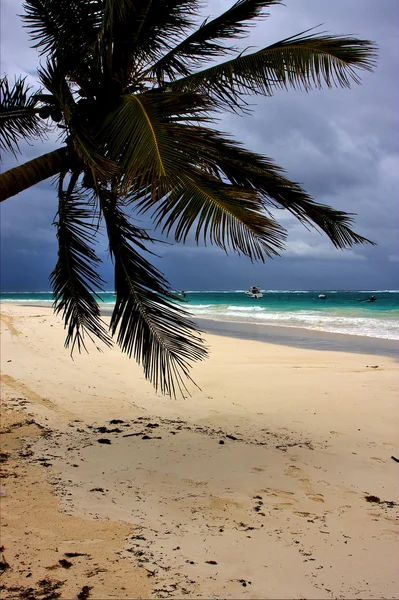 Schuim bewolkt zee onkruid in mexico playa del carmen — Stockfoto