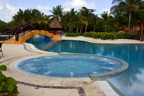 Palma del árbol de la piscina mexicana — Foto de Stock