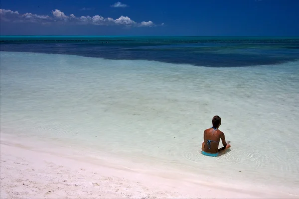 Sakin ol ve caraibbien lagoon Sahili — Stok fotoğraf