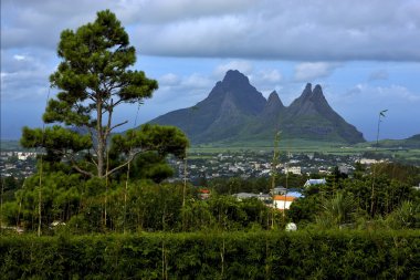 Clear mountain bitki