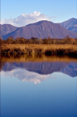 İtalya'nın kuzeyindeki sulak