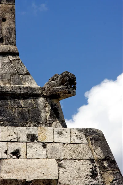 Totenkopfschlange in Mauer Mexiko — Stockfoto