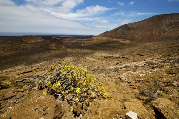 Pietra di roccia cielo nube spiaggia acqua a Lanzarote isola di Spagna — Foto Stock