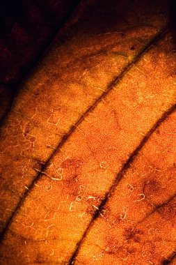 arka plan sarı kırmızı bir özetini kapatmak