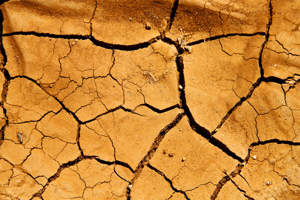 lanzarote spain abstract texture of a broke and lichens