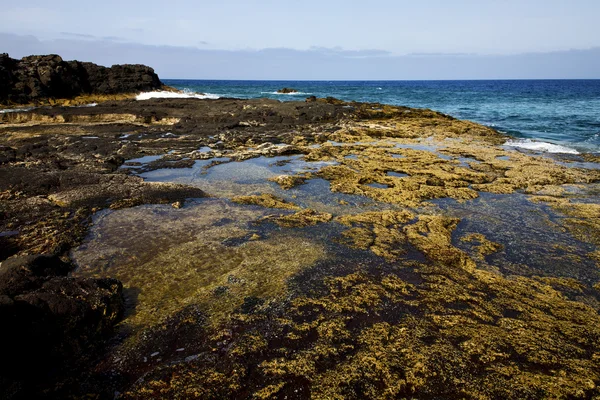 Rock kamenné pobřeží a v létě v lanzarote, Španělsko — Stock fotografie