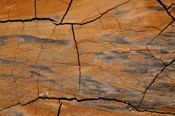 España textura abstracta de una arena seca quebrada y líquenes —  Fotos de Stock