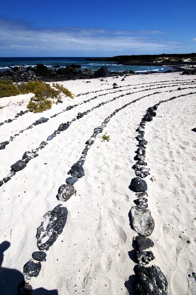 白色的沙滩螺旋的黑色岩石在兰萨罗特岛 — 图库照片