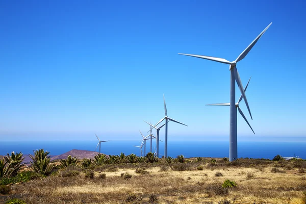 Ветряные турбины и небо в — стоковое фото