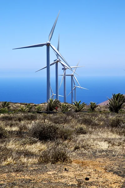 Afrique éoliennes l'île de Lanzarote Espagne — Photo